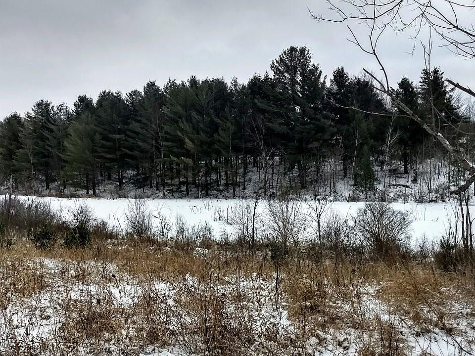 1st image of 10919 185th Ave