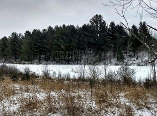 10919 185th Ave, Leroy, MI 49655