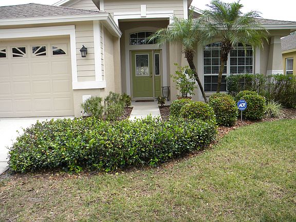 Mature Landscaping