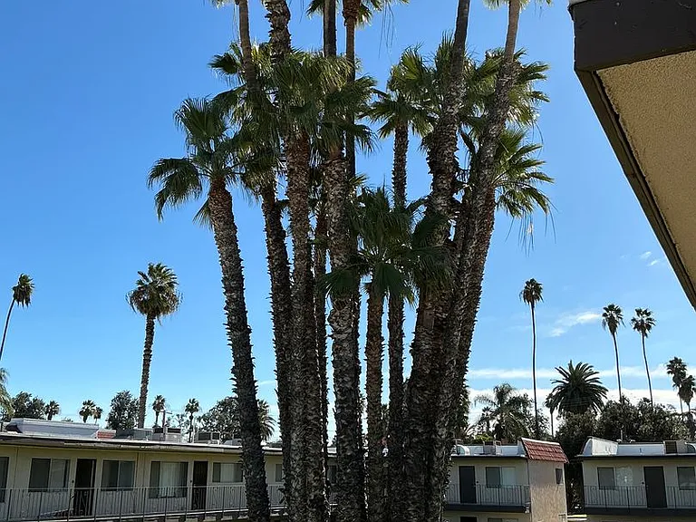 Casa Granada — Photo 49