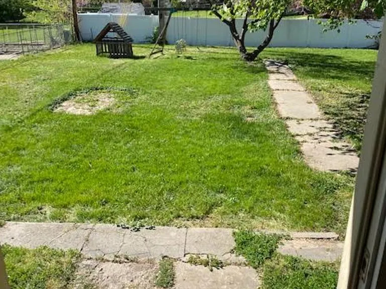 Huge fenced in back yard