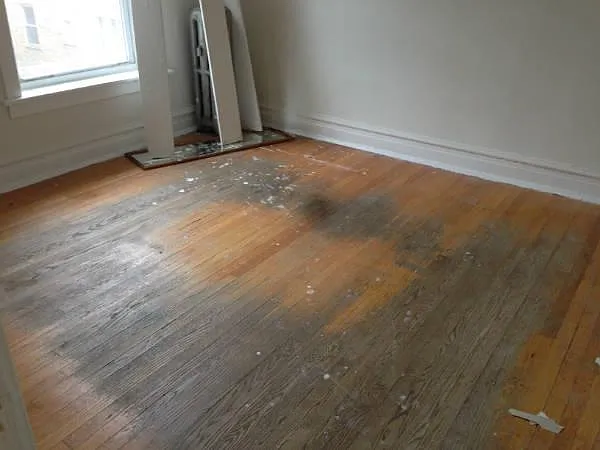 2 bed, 1.0 bath, $1,800 — Photo 3