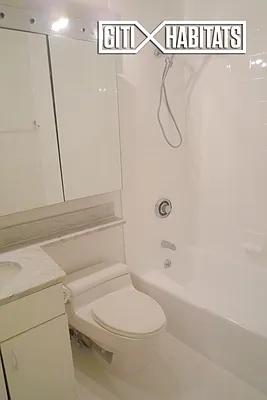 Rented by Citi Habitats | media 3
