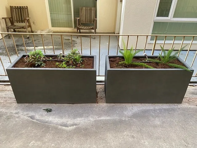 290 Lee Street — Photo 5