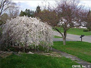 2nd image of 5211 Duane Dr