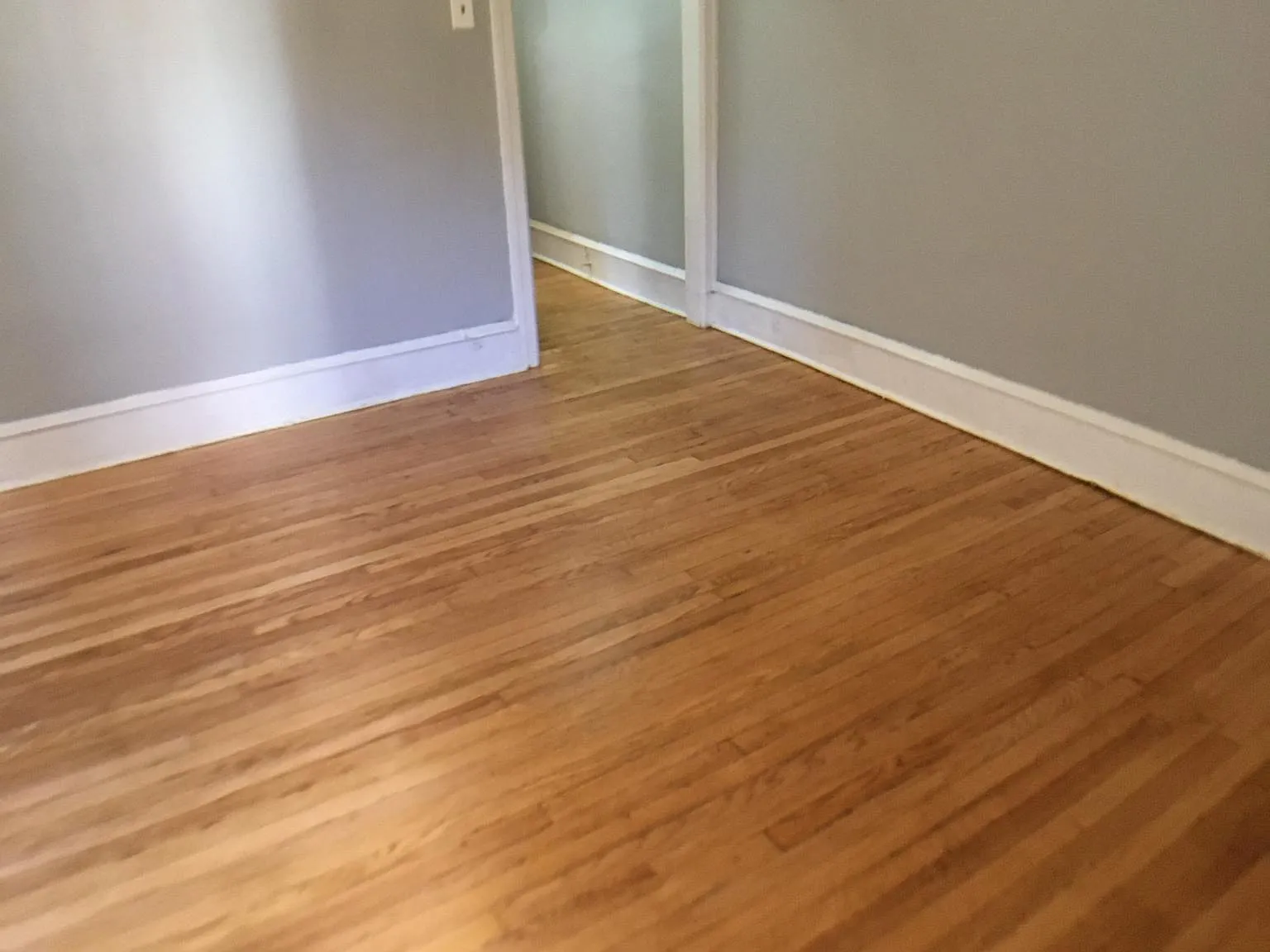 1 bed, 500 sqft, $1,200 — Photo 3