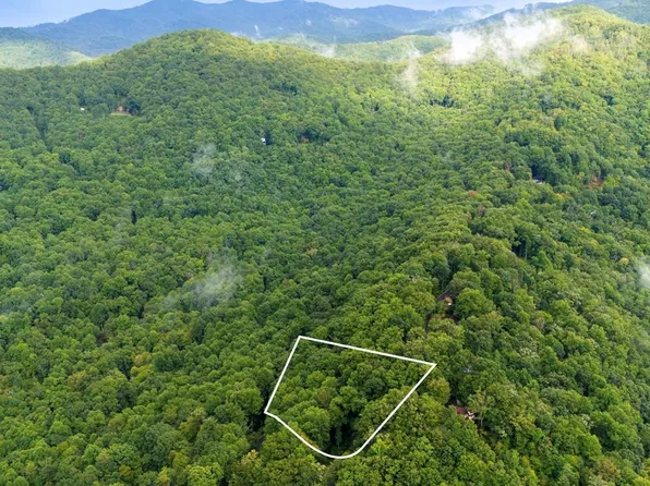 226 Young Cove Rd, Franklin, NC 28734