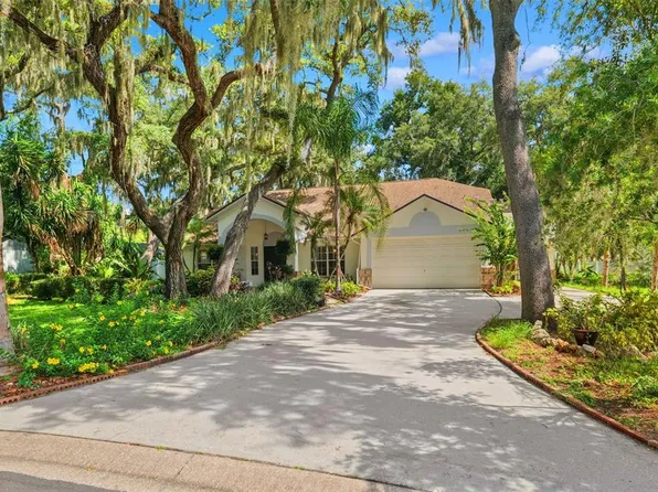2770 BUCKHORN OAKS DRIVE, VALRICO, FL 33594