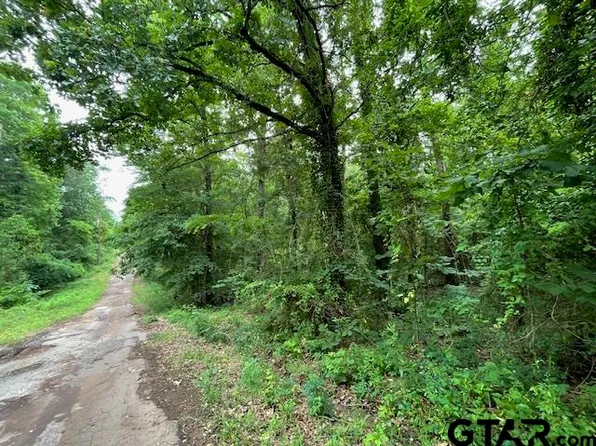 2nd Pl #2, Avinger, TX 75630