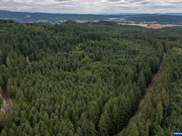 McTimmonds Rd, Dallas, OR 97338