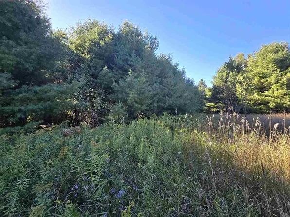 10534 Sunset Dr, Carp Lake, MI 49718