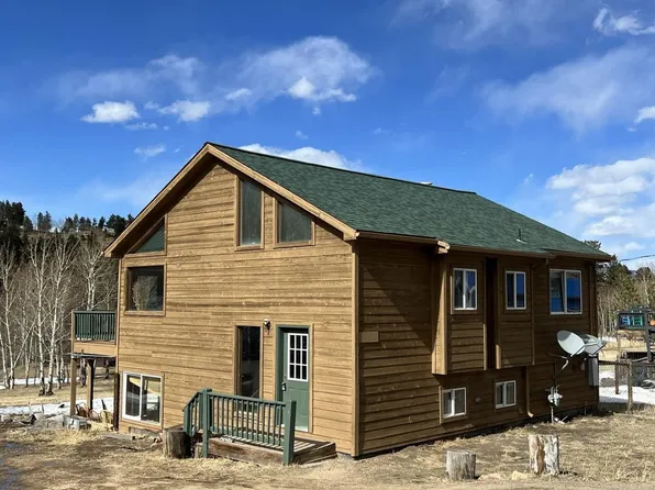 707 S Pine Drive, Bailey, CO 80421