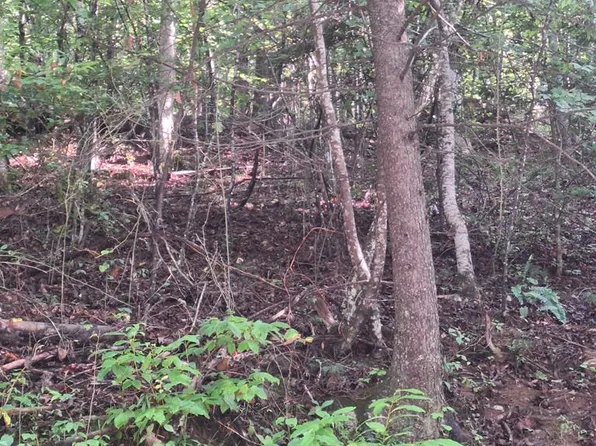 0 Coopers Creek Rd, Suches, GA 30572