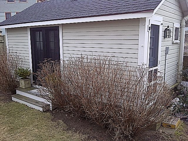 Cottage