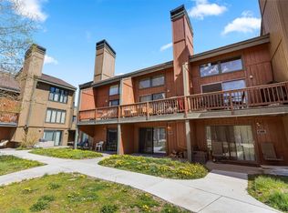 3615 Ryan Gulch Rd #3615, Silverthorne, CO 80498