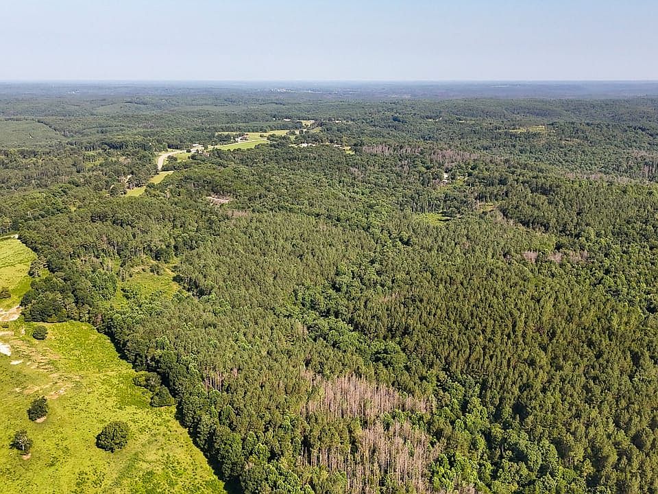 Compass South Land Sales Alabama Ashridge Tract 4