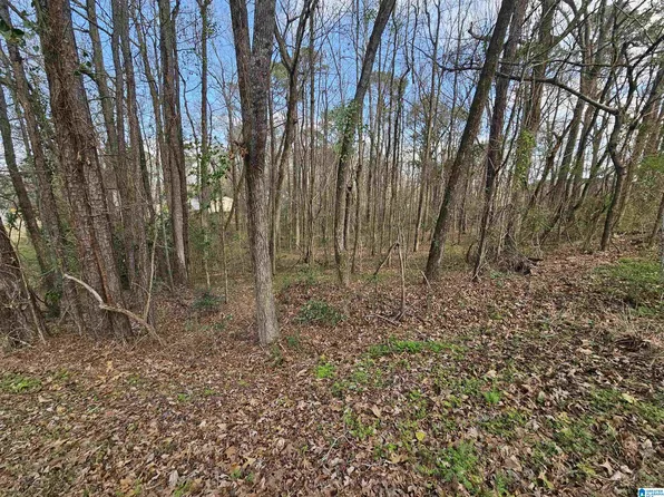 0 Moss Hill Ln #42, Pell City, AL 35128