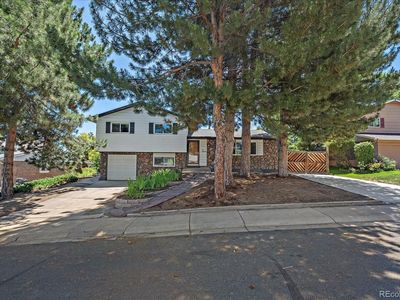 9350 Raleigh Court, Westminster, CO, 80031