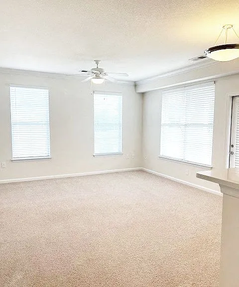 Belmont at Tryon Apartments — Photo 115