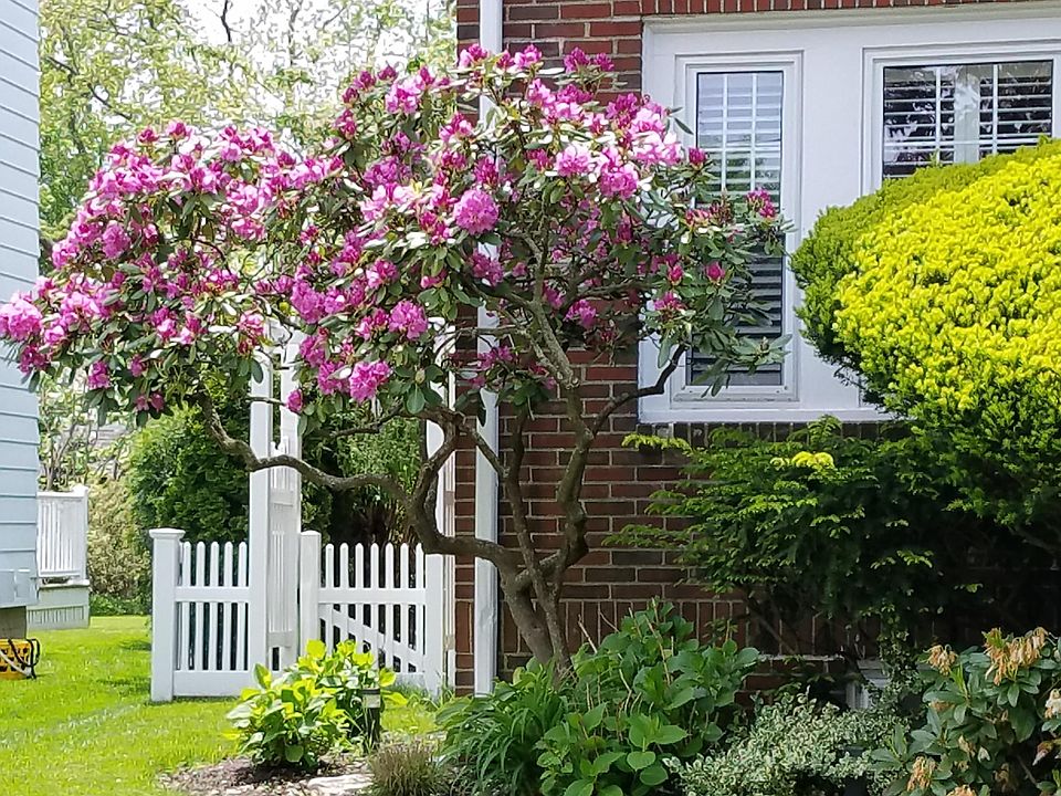 Our landscaped gardens will always display natures beauty