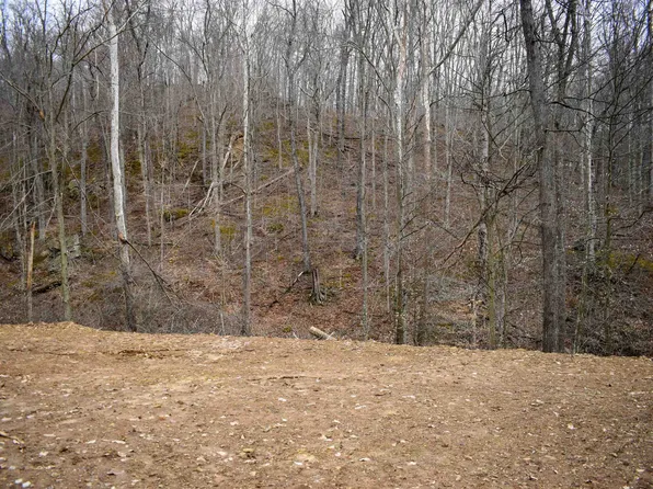 5320 Dunkle Branch Rd, Lavalette, WV 25535