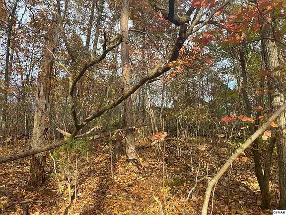 2nd image of 32 Starlight Ln Lot 32