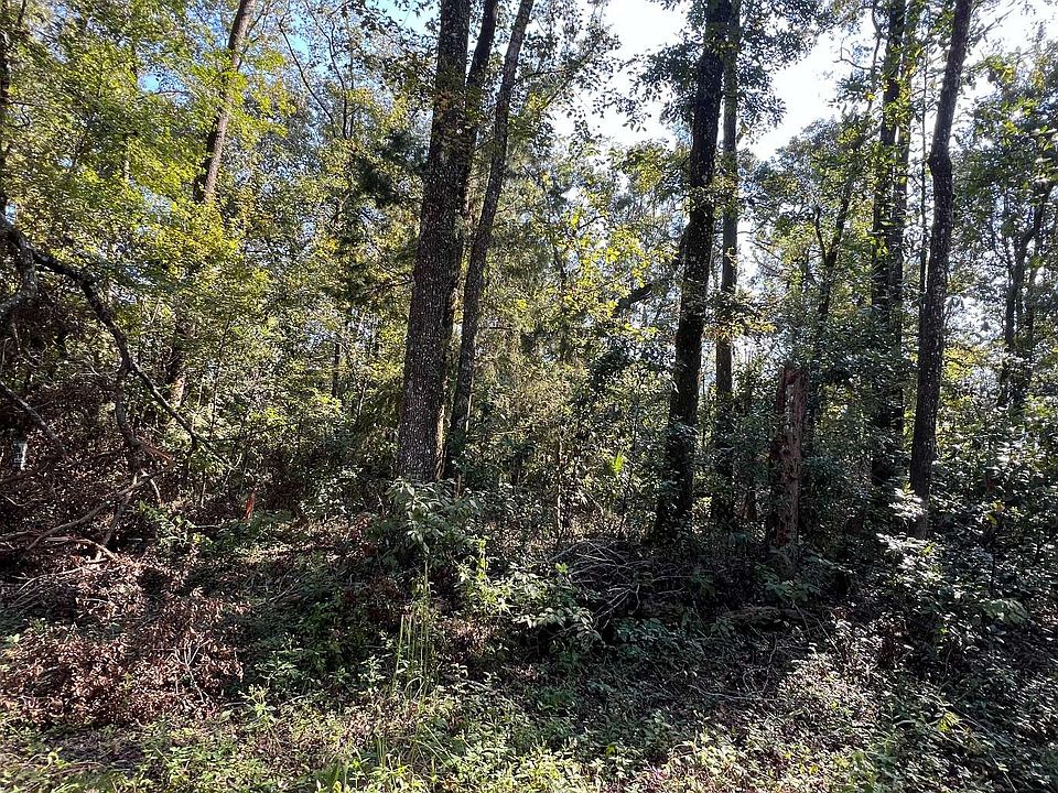 2nd image of 290th Ter Lot 5