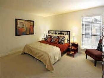 2nd image of 5836 Birchbrook Dr APT 128