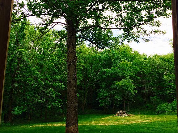 View from back patio