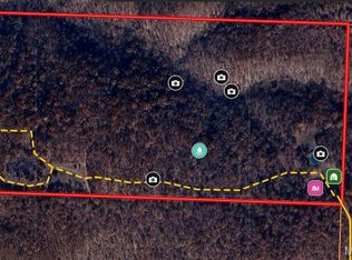 1038 Mug Dr, Macks Creek, MO 65786