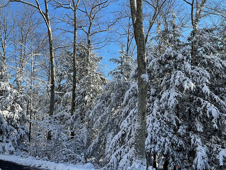 38 Mountain Rd — Photo 44