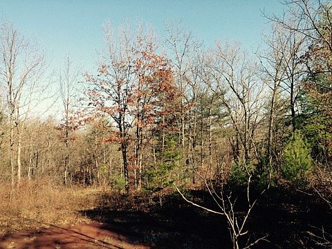 4th image of Lot 28 And 29 Stonehouse Woods