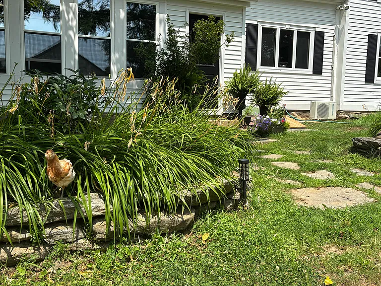 1049 Upper Church St — Photo 34