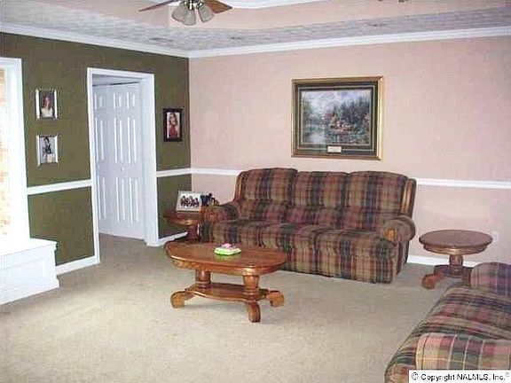 Family Rm w/ Trey ceiling