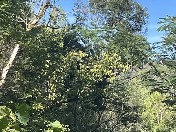 5th image of 0 Neeley Creek Rd