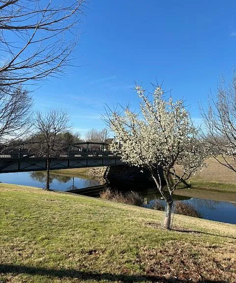 Enjoy a walk around the relaxing lake area and relax in this unique neighborhood.