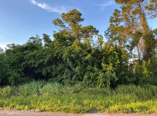 1325 Defender St NW, Palm Bay, FL 32907