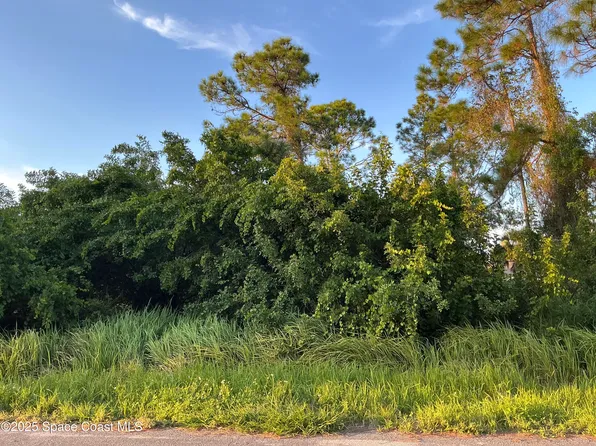 1325 Defender St NW, Palm Bay, FL 32907