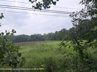 PARCEL Holt Hwy #A, Dimondale, MI 48821