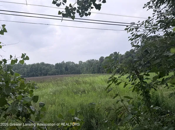 PARCEL Holt Hwy #A, Dimondale, MI 48821