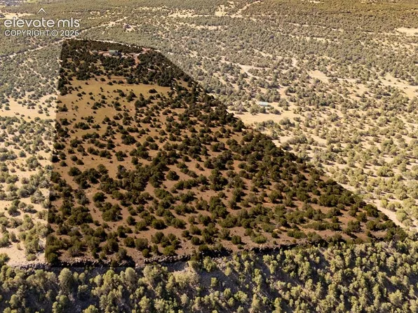 115 Cedar Canyon Rd, Walsenburg, CO 81089