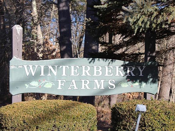 3rd image of 39 Winterberry Dr