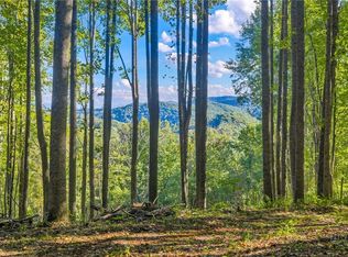 TBD Mud Creek Road, Whitetop, VA 24292