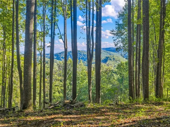 TBD Mud Creek Road, Whitetop, VA 24292