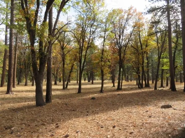 376 Genesee Indian Creek Rd, Taylorsville, CA 95983