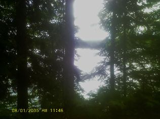 Wilson Lake Cir W, Mercer, WI 54547