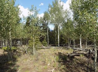 1923 Blacksmith Rd, Hartsel, CO 80449