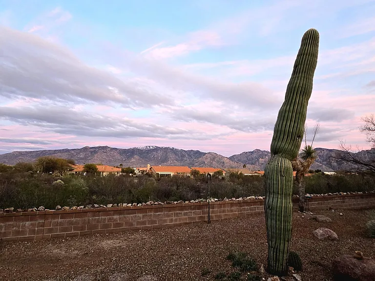 14770 N Windshade Dr — Photo 28