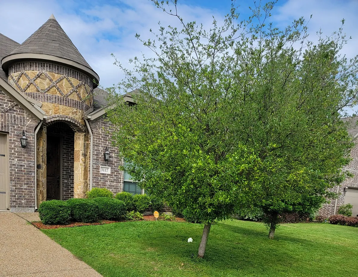 4 bed, 2171 sqft, $2,350 — Photo 1