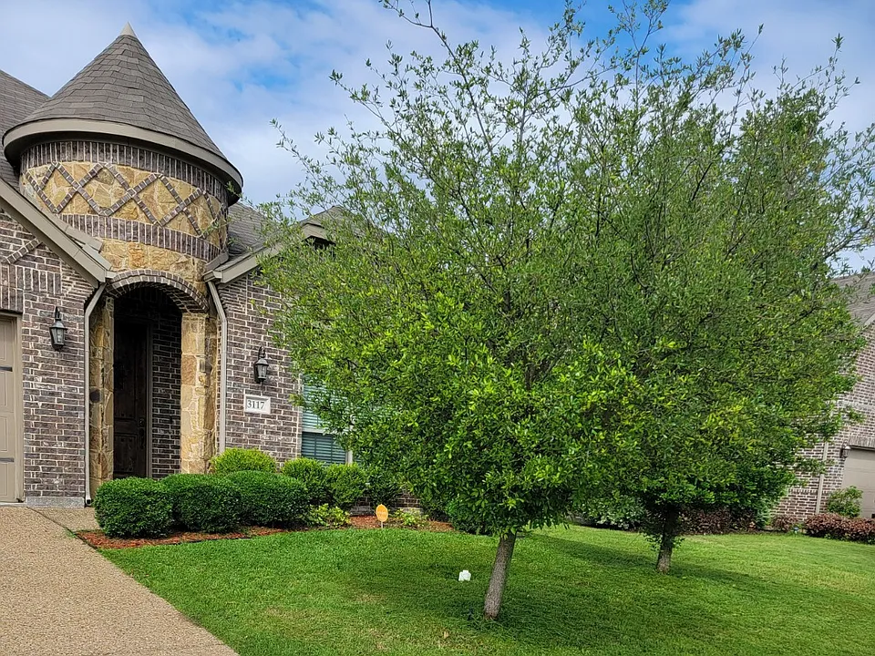 3117 Granite Rock Trl